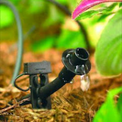 we suggest drip irrigation in mature planting beds