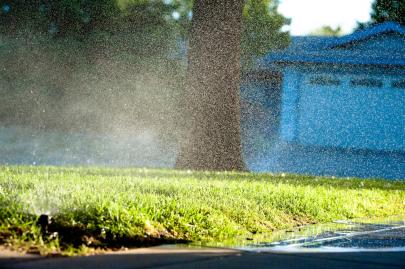 Las Vegas sprinkler system running in the early morning