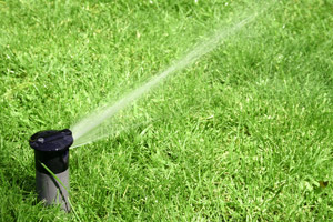 top rated Henderson Sprinkler Repair service