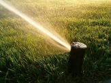 Running sprinkler head in the early morning